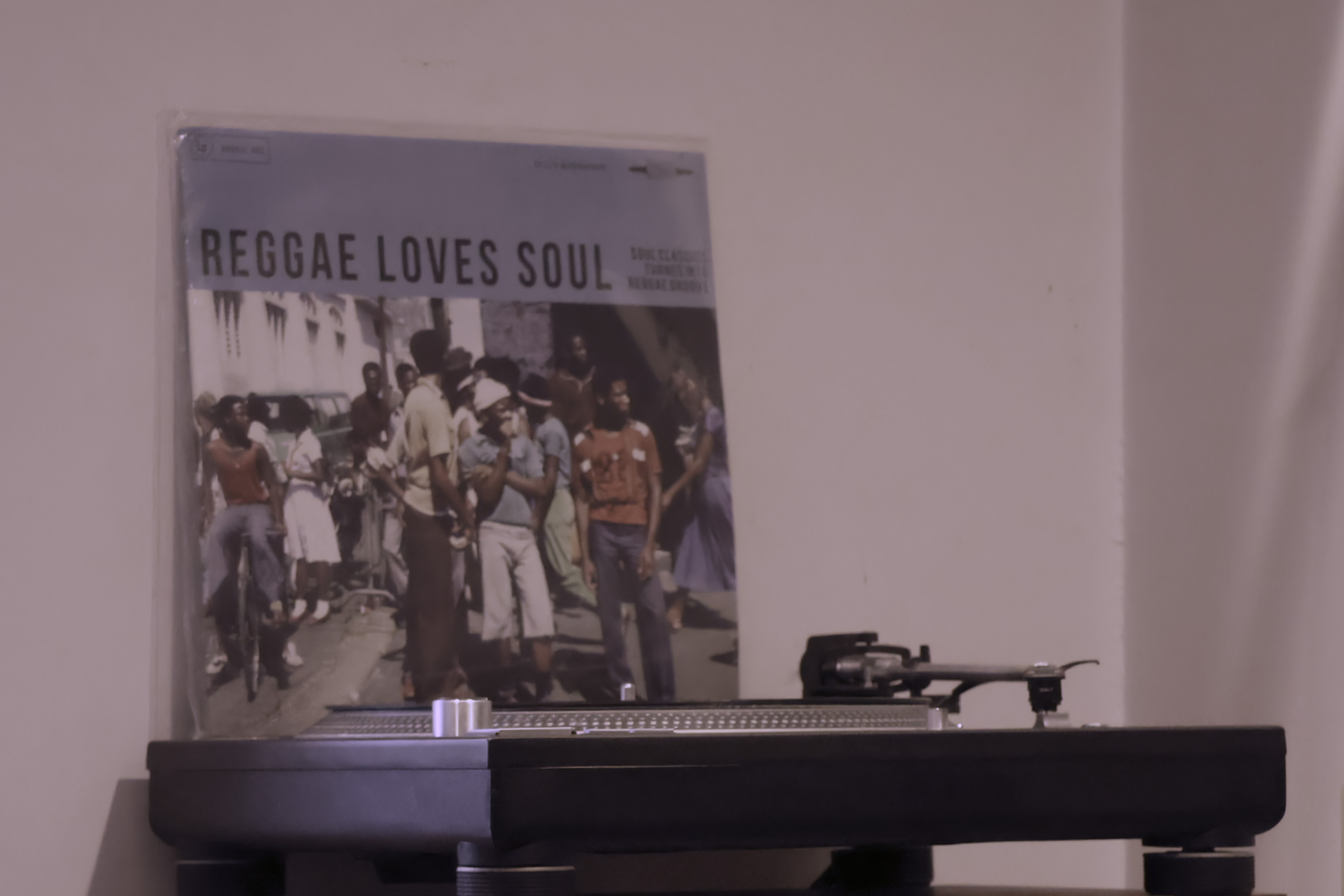 熾火のイオの店内