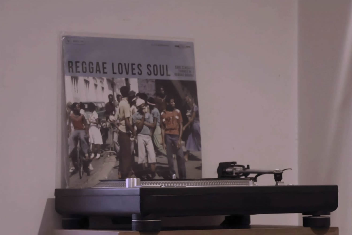 熾火のイオの店内